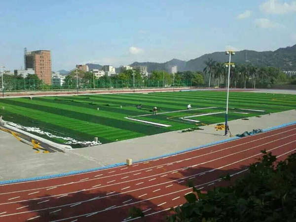 我们美丽的运动场,挥洒汗水的地方