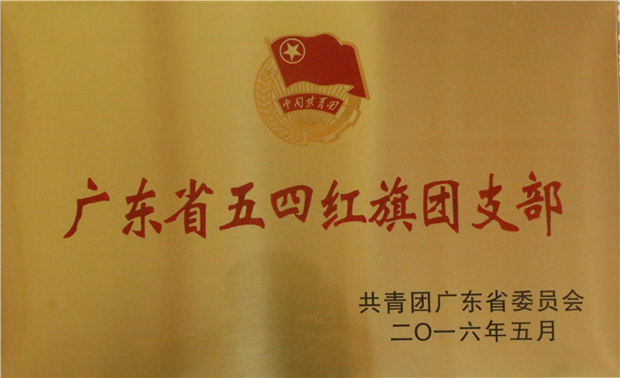 ƻϵ֧ٻ“㶫ʡĺ֧”